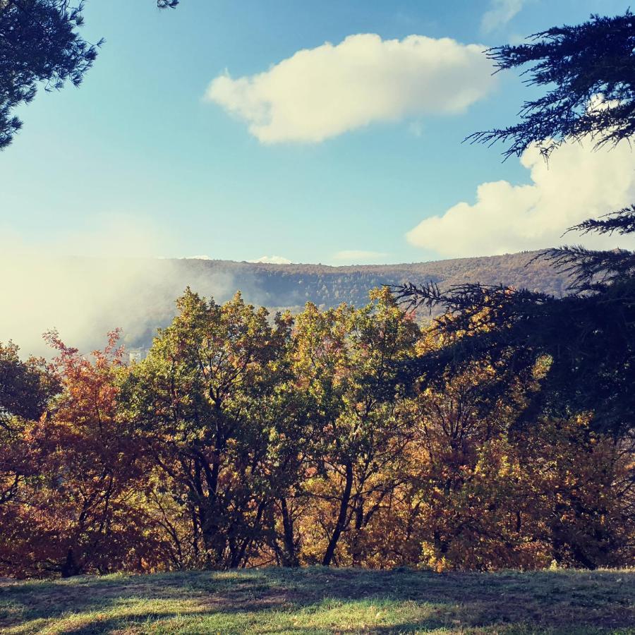 Villa Poggio Fagianino Sant'Albino Bagian luar foto